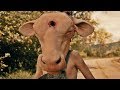 Leatherface Official Trailer 2017 Stephen Dorff Lili Taylor