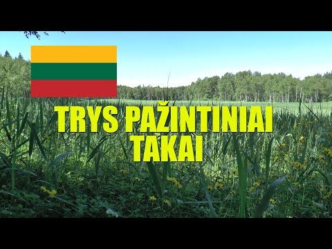 TIK LIETUVIŠKAI 32 - TRYS PAŽINTINIAI TAKAI (@Lietuviški subtitrai)