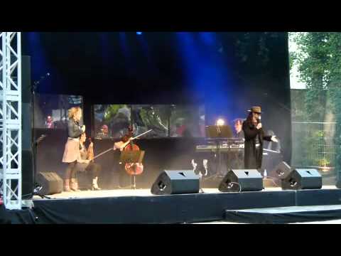 Sommernacht des Musicals 2011 - Dinslaken