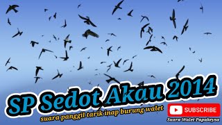 Download lagu Suara Panggil Tarik Inap Burung Walet mp3