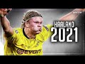 Erling Haaland 2021 - The Deadly Finisher - Goal Show, Skills & Highlights 2020/2021 (HD REUPLOAD)