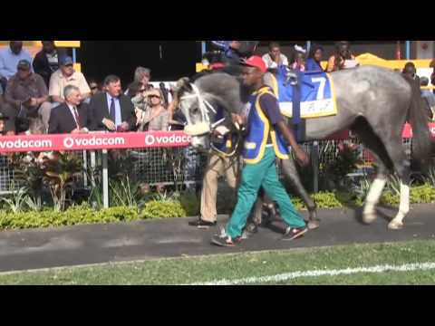 AVONTUUR ESTATE FILLIES GUINEAS PREVIEW 2014   Computer