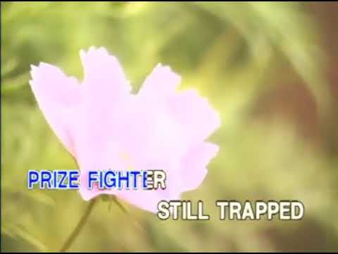 11. Sometimes When We Touch - Dan Hill | Peak Music