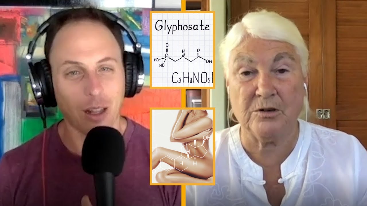 GLYPHOSATE AND HORMONES with  Dr  Stephanie Seneff