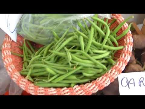 Ladispoli nuovi divieti - Canale 10