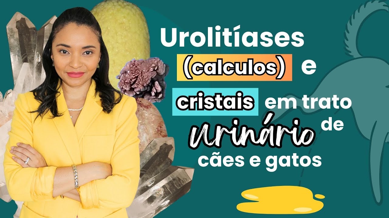 #CALCULOS URINÁRIOS - #PEDRAS NO TRATO #URINÁRIO DE CÃES E GATOS.