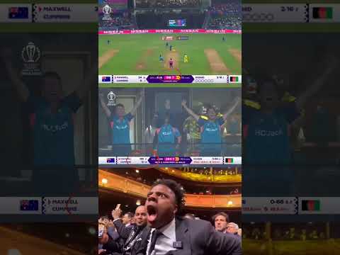 Maxwell Odi 201* Unbelievable Match Win Afg Vs AUS 2023  #cricket #cricketlover