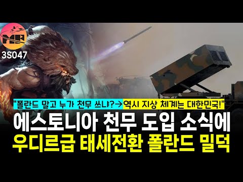 폴란드 밀덕 반응 역시 지상 체계는 대한민국