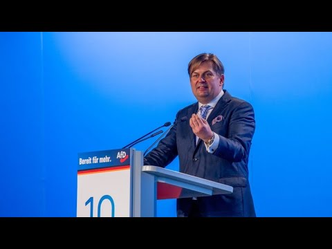 AfD enters European elections with Krah as top candidate