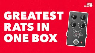 Video thumbnail for JHS PackRat: Every RAT Pedal You'll Ever Need! by JHS Pedals