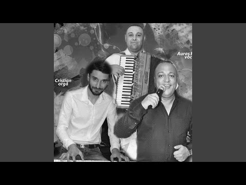 Singurel Pe Drumul Vietii