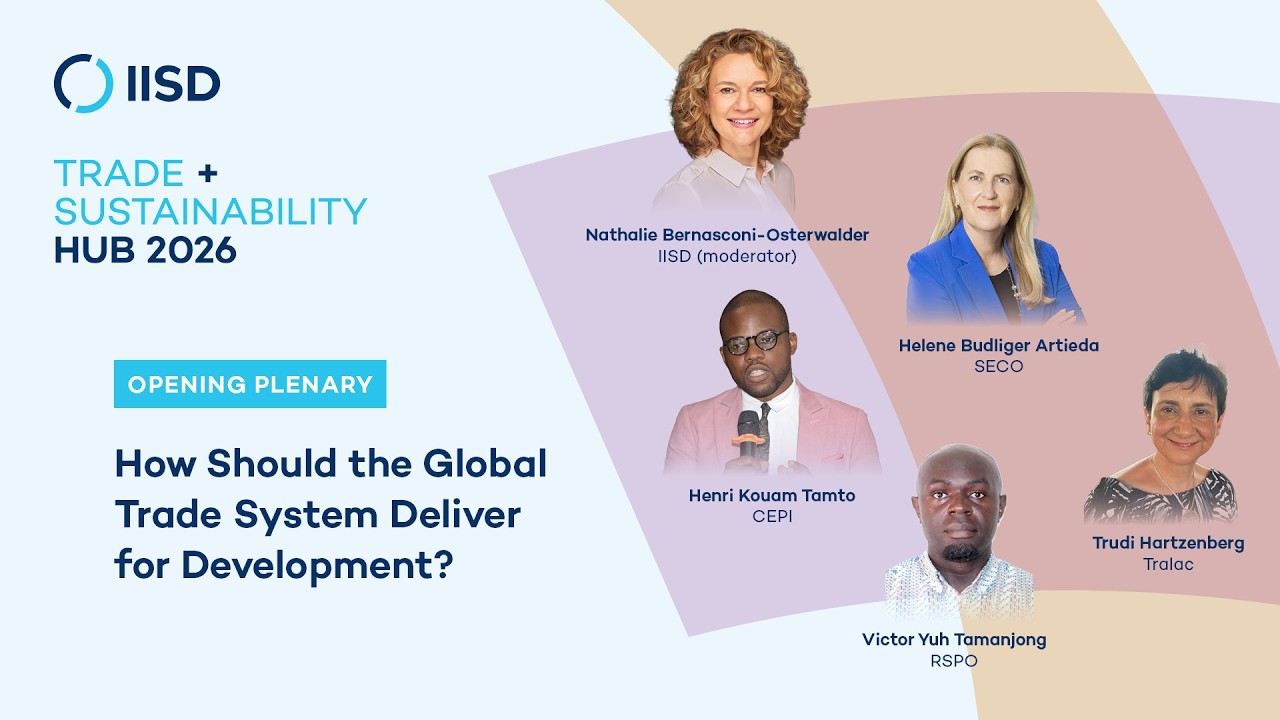How Should the Global Trade System Deliver for Development? What to Expect and Not Expect of MC14