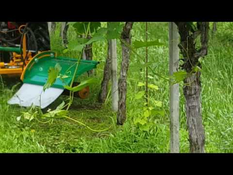 Decespugliatrice per vigneto Bruschcutter for vineyards 2