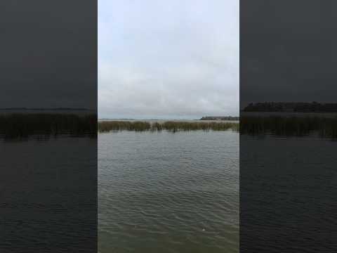 Laguna El Burro en Chascomús Buenos Aires Argentina