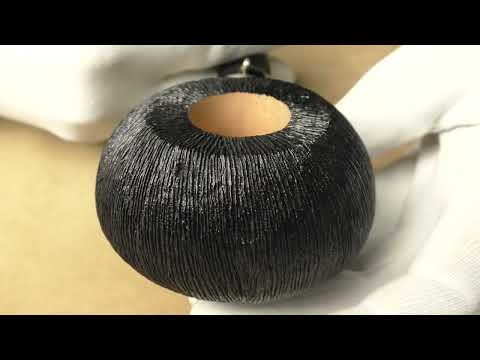 L'Anatra Pettinata Gigante Gigante - pipe 761