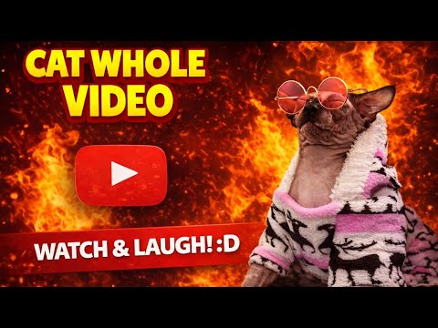 Best of Selena the Sphynx! 2-Part 😻✨