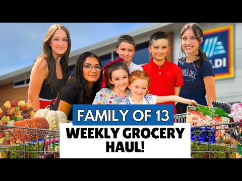 LARGE FAMILY of 13 Shops at ALDI for Under $300 (Weekly Grocery Haul)