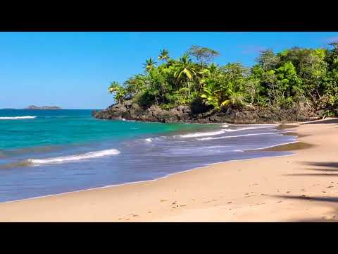 Olas del Paraíso   Playa Hermosa con Sonidos Relajantes del Mar sin Música