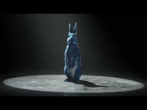 O2 - Follow The Rabbit