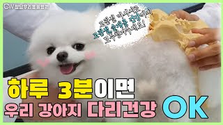 하루3분! 고관절 엉덩이 마사지로 우리 댕댕이 강아지 슬개골, 고관절 건강까지 챙겨주세요 :)