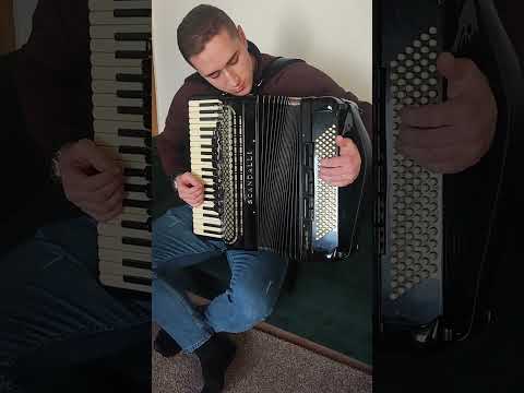 Akkordeon Scandalli Super VI (1)