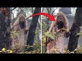 RECOPILACIÓN Videos De TERROR EXTREMO LO MEJOR DEL 2022 VOL 2