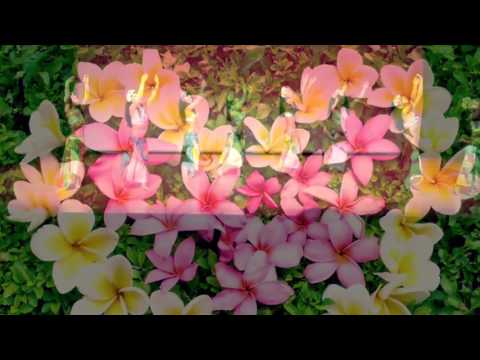 Te tiare no tahiti タヒチダンス