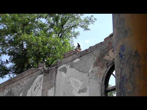 Biserica Germana Malcoci