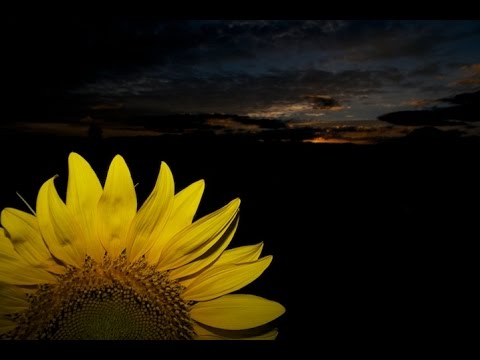 Postales video