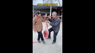 Download lagu 3x8v35xvt6c6jtu.mp4 mp3