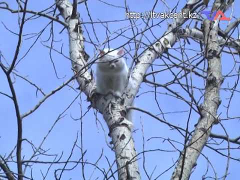 Выпуск программы «День» от 20 сентября 2016г.