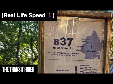 B37 Bus
