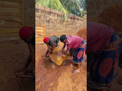 First born duties|responsibilities