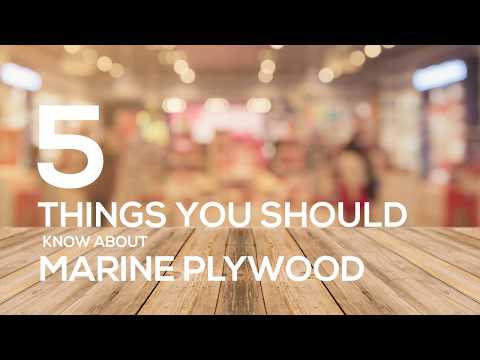 Marine Plywood : What is Marine Plywood? 5 Things You Should know About Marine Plywood