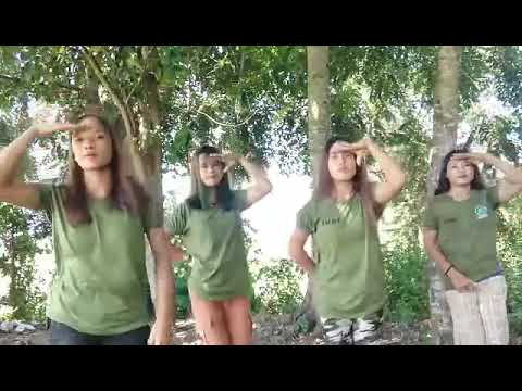 The binungor dance of ikalinga pretty girls❤️❤️