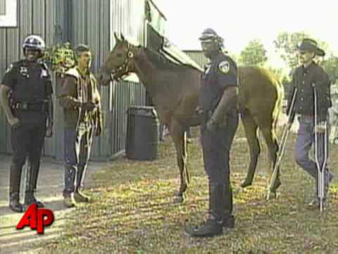 Rachel Alexandra Is Early Preakness Favorite