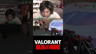VALORANT 最高の瞬間【VALORANT】【mittiii/みっちー切り抜き】#Shorts