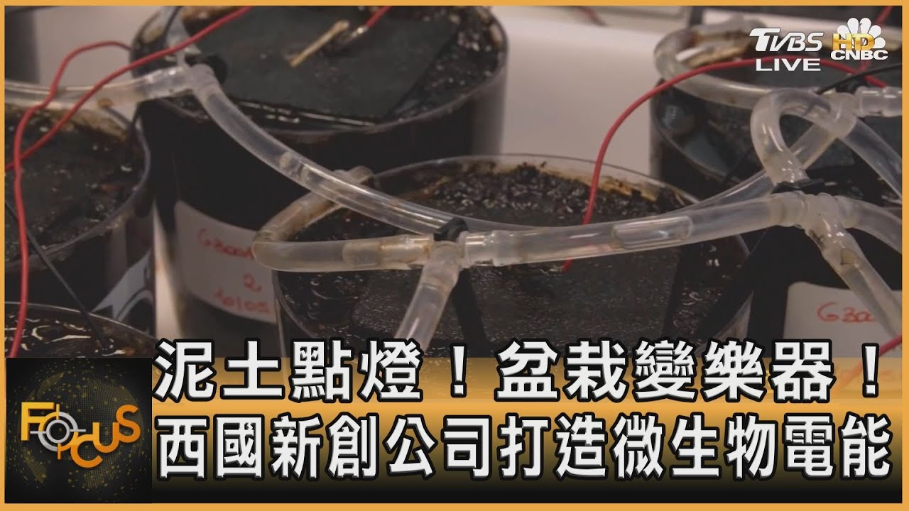 用土壤點亮路燈! 西國新創公司打造微生物電能