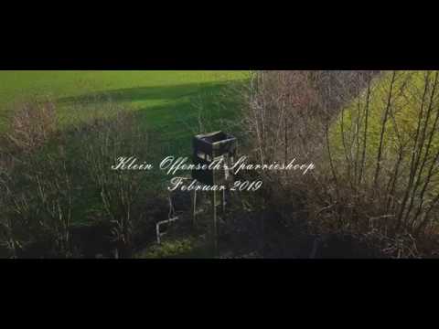 Impressionen aus Klein Offenseth-Sparrieshoop (Februar 2019)