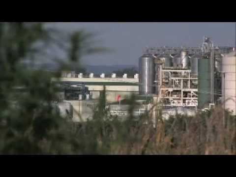 Addicted to Plastic (Bullfrog Films clip)