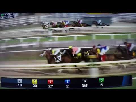 SAM F DAVIS (G 3) STAKES 2/10/18 -  FLAMEAWAY !!!