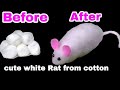 How To Make White Rat With Cotton Gk Craft