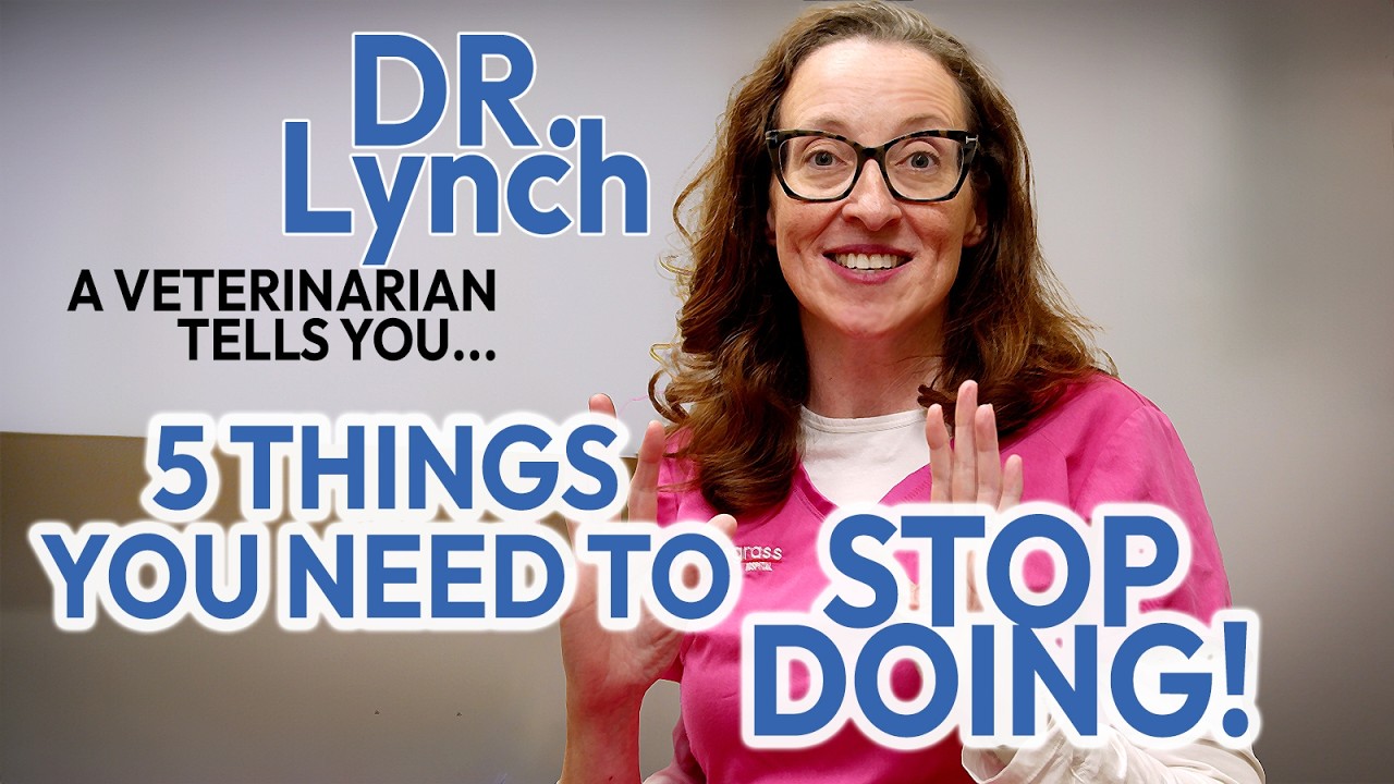 Stop Doing These 5 Things to Your Pet (Vet Advice)