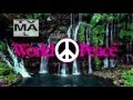 MillionDollarExtreme First Showing On Adult Swim World Peace