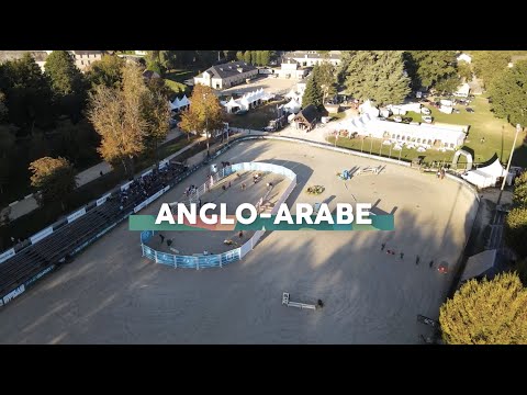 Pompadour CCE 2023 J3 - Anglo-Arabe