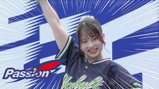 《プロ野球 チアリーダー》横浜DeNAベイスターズ diana ディアーナ 東京ヤクルトスワローズ　Passion パッション コラボステージ 2023 cheerleader  ⑤《BraveTV》