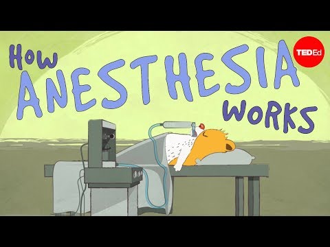 How Does Anesthesia Work?