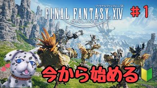 #1【FINAL FANTASY XIV】今から始めるファイナルファンタジー14 #ff14 #ファイナルファンタジー14  #はんぞうGames