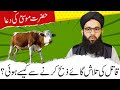 Bani Israel Ki Gaye Ka Waqia Story Of Cow Of Bani Israel Molana Amir Ul Islam