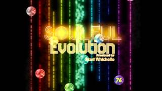 Soulful Evolution September 6th 2013 Soulful House Show (76)